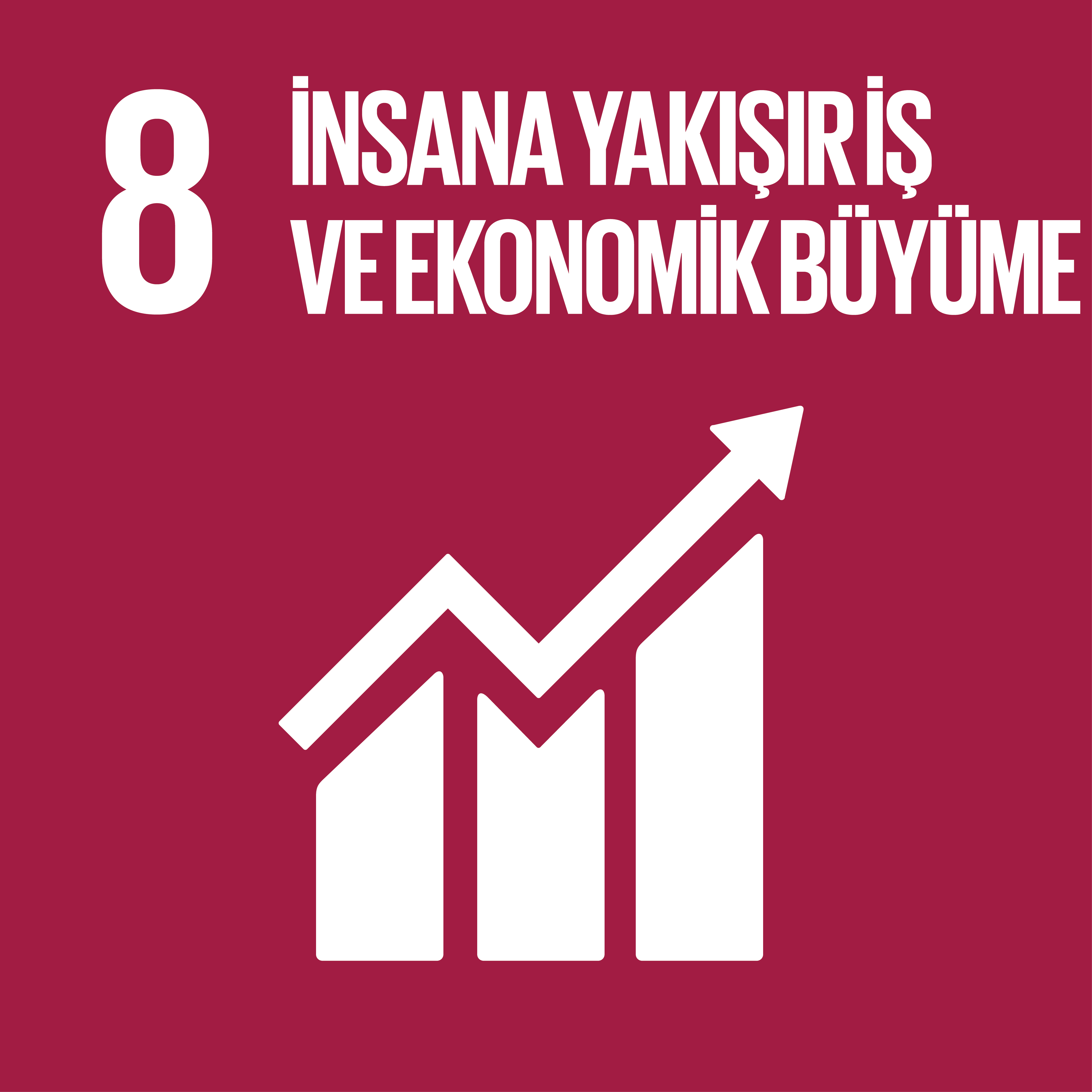 İnsana Yakışır İş Ve Ekonomik Büyüme