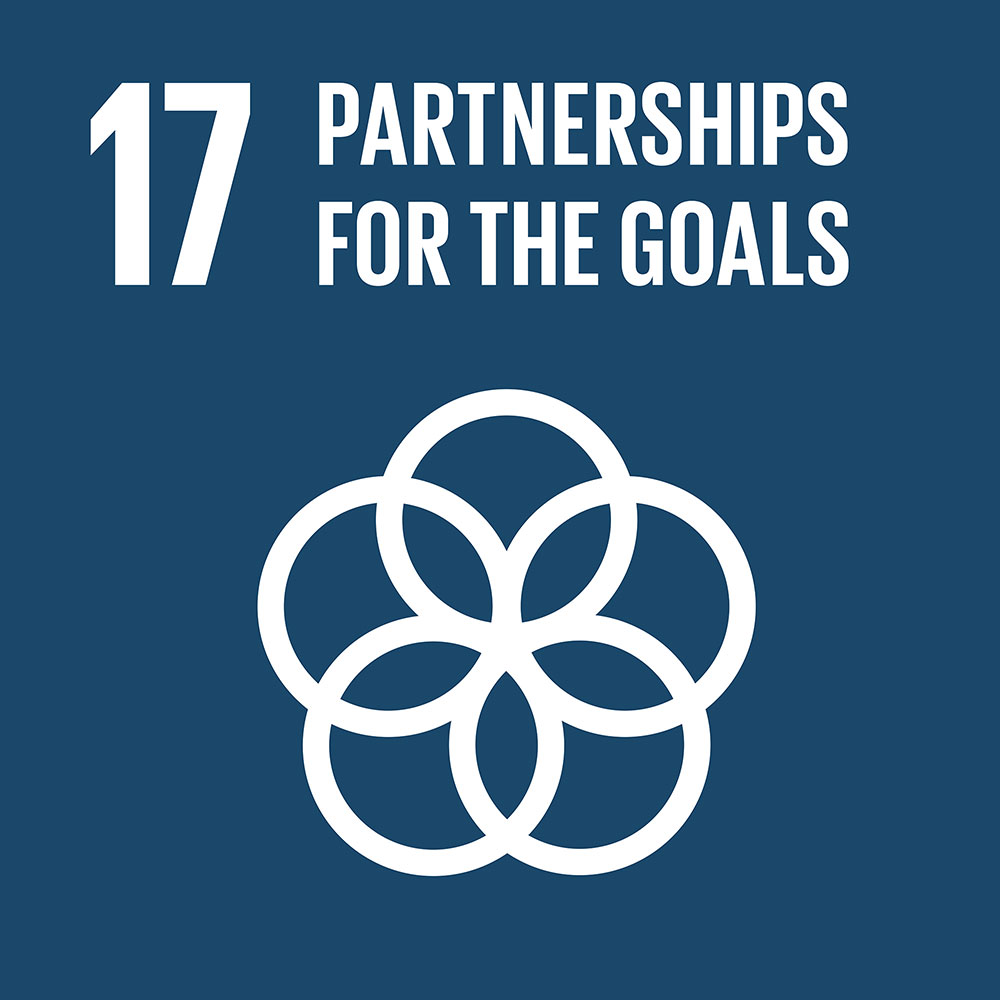 Partnership For the Goals